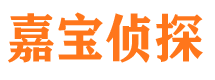 兰山侦探公司